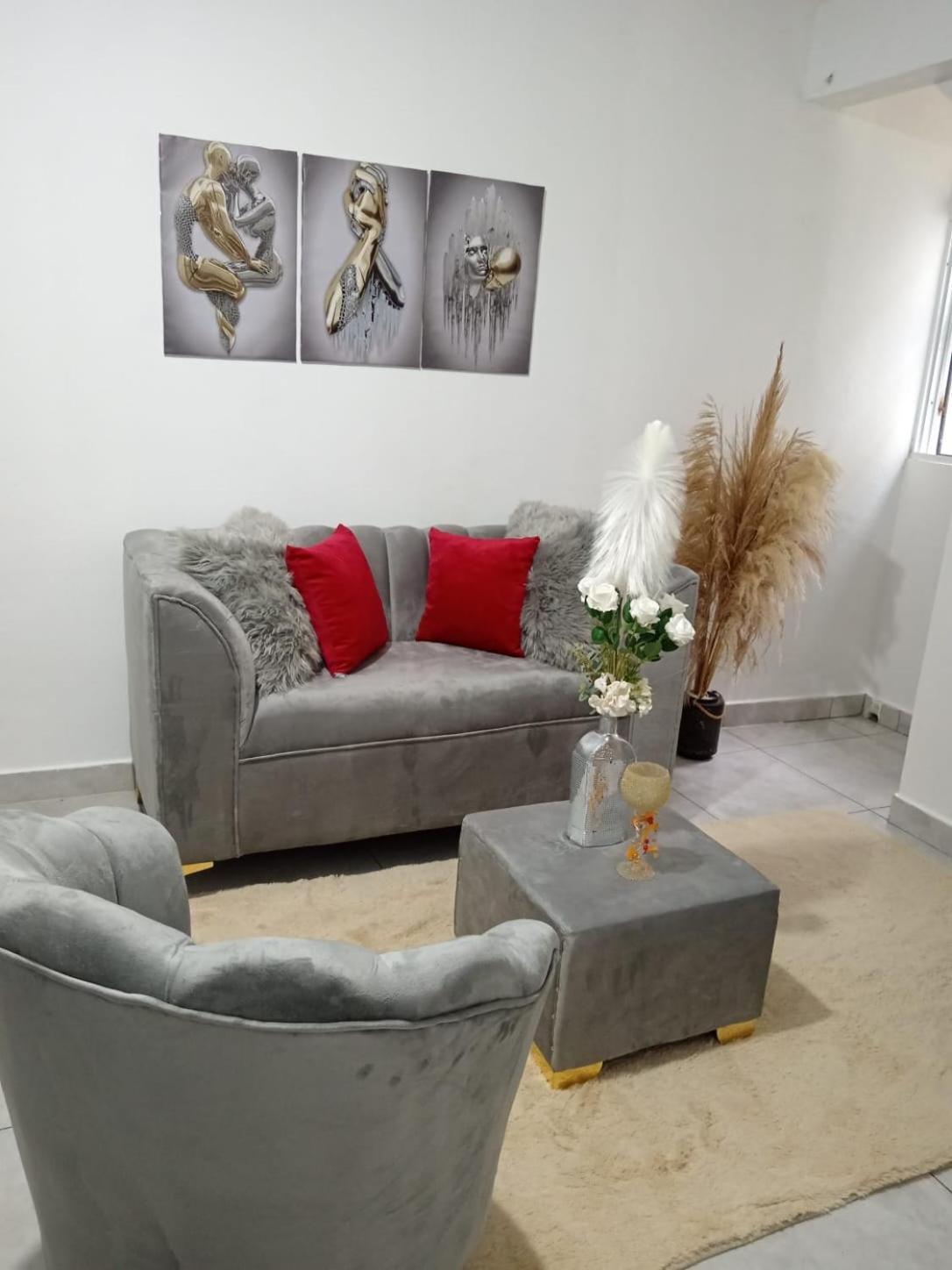 Apartamentos De 1 2 Y 3 Habitaciones Santiago De Los Caballeros Eksteriør billede
